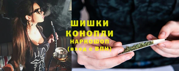 PSILOCYBIN Дмитриев