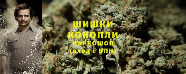 СК Дмитровск