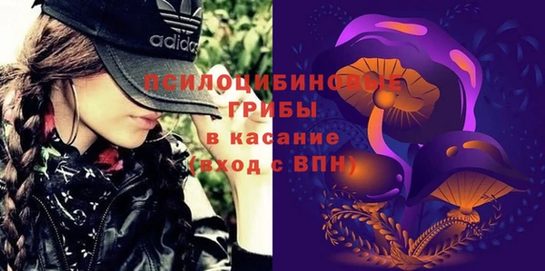 PSILOCYBIN Дмитриев