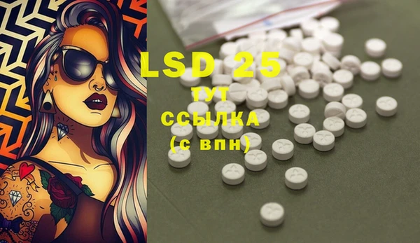 PSILOCYBIN Дмитриев