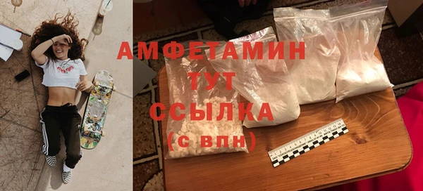 PSILOCYBIN Дмитриев