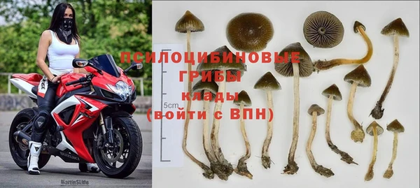 СК Дмитровск