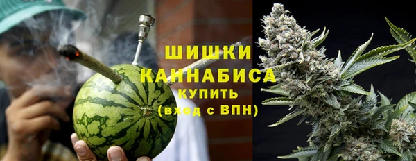 PSILOCYBIN Дмитриев