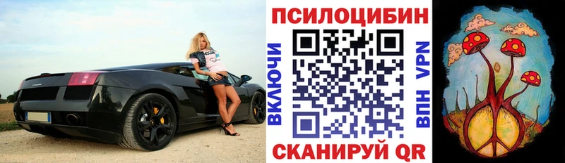 цена   Назрань  Псилоцибиновые грибы Psilocybine cubensis 